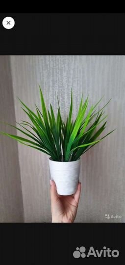 Искусственная трава