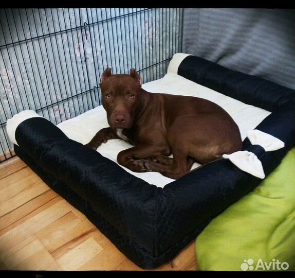 Диван лежанка Premium для собак всех размеров