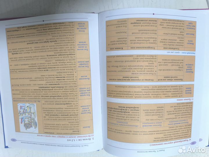 Гистология Кузнецов