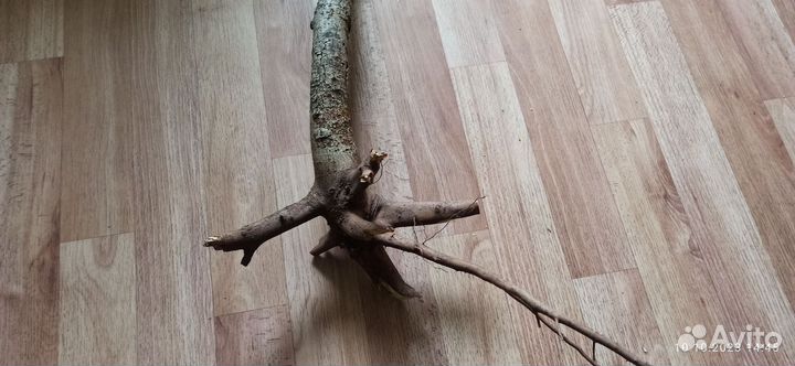 Коряга, коряга для декора аквариума и террариума