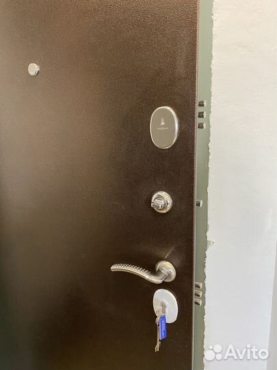 Входная стальная дверь