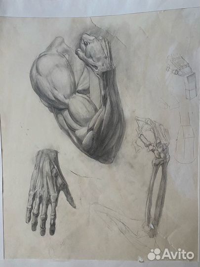 Репетитор по рисованию