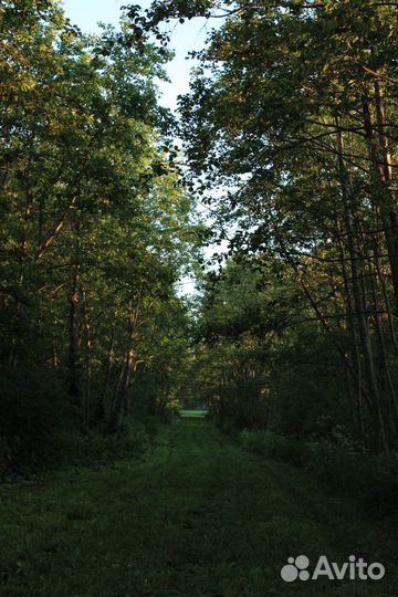 Начинающий фотограф