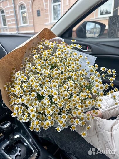 Букет ромашек