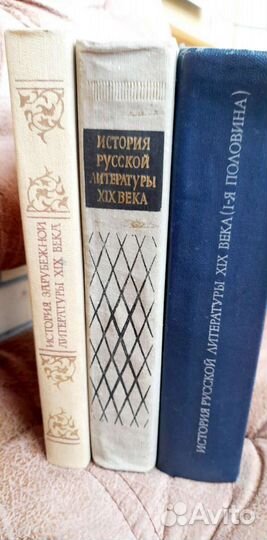 История литературы XIX века