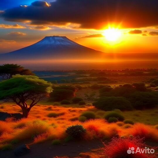 Отдых в Танзании 2024