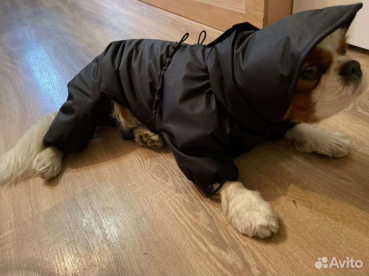 Зимний комбинезон для средних собак