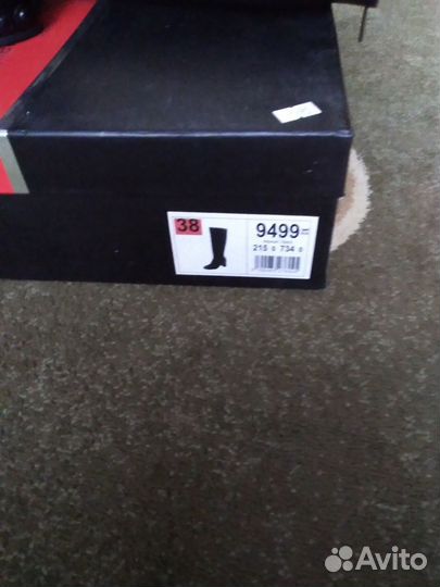 Сапоги осенние