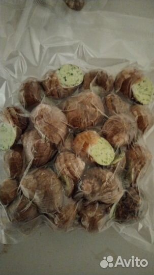 Эскарго улитки