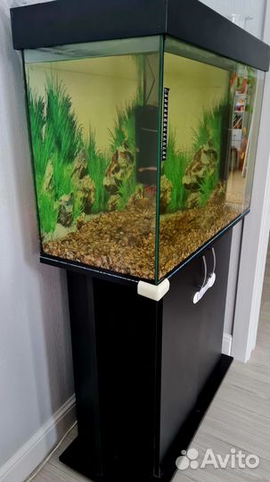 Аквариум 150 л с тумбой, рыбки, аксессуары
