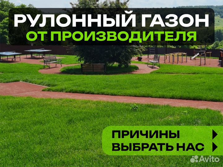 Рулонный газон Элитный. От производителя