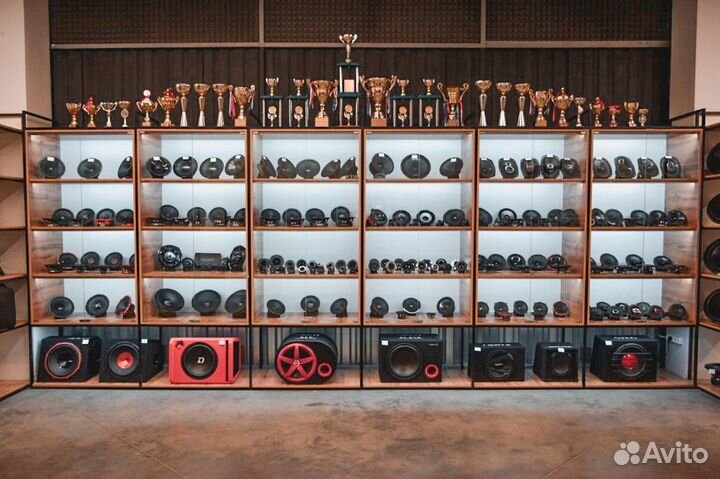 Сабвуфер Skylor SW-BS10V2