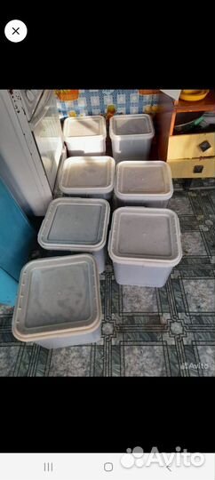 Алтайский мед