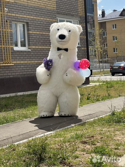 Белый мишка поздравление