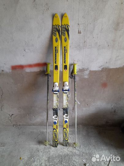 Горные лыжи