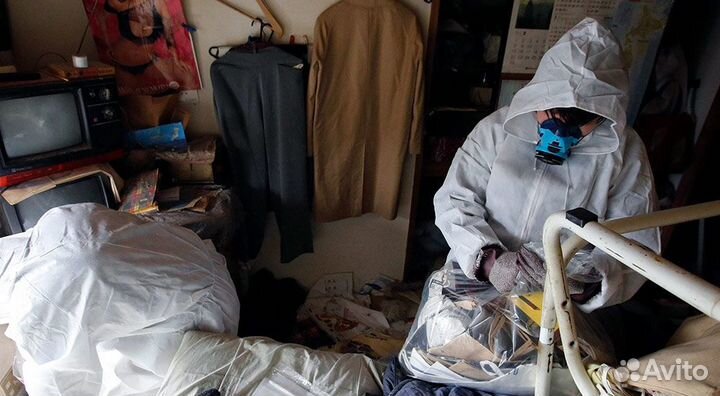 Барнаул Уничтожение Клещей Тараканы Клопы Блохи