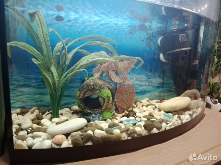 Аквариум aquaplus 60л