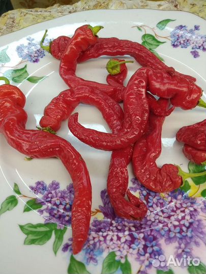 Семена коллекционного острого перца