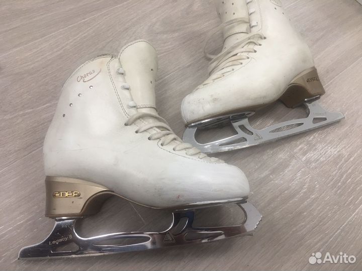Коньки edea chorus 245