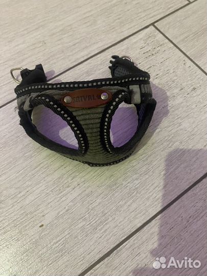 Одежда для животных бу