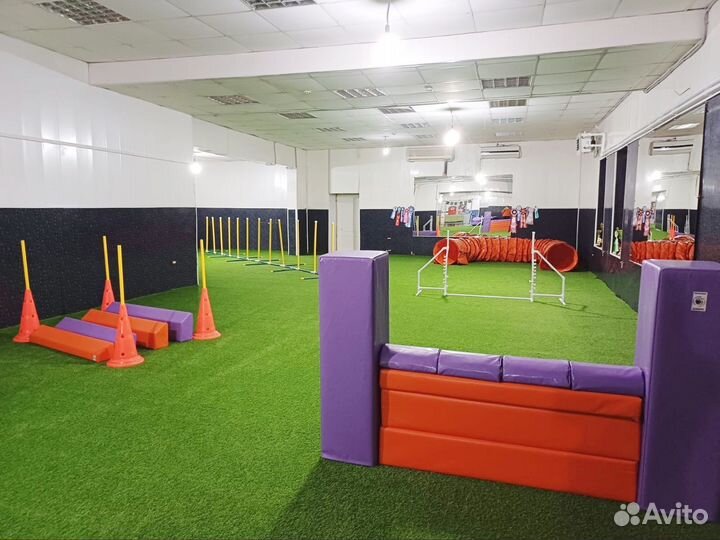 Услуги кинолога