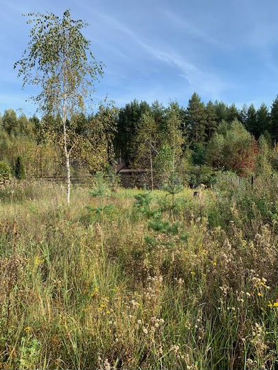 Участок 10 сот. (СНТ, ДНП)