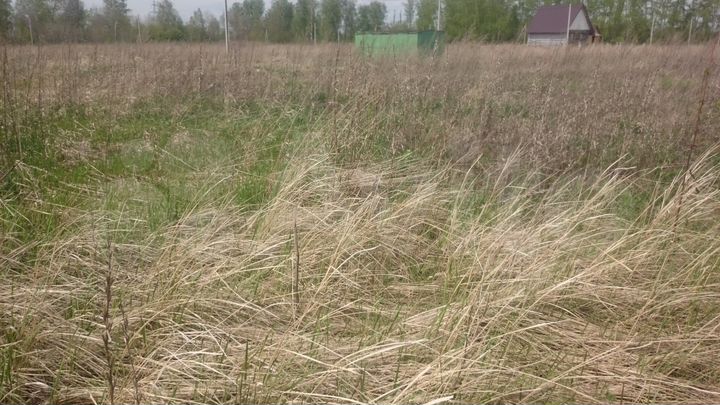 Участок 12 сот. (ИЖС)