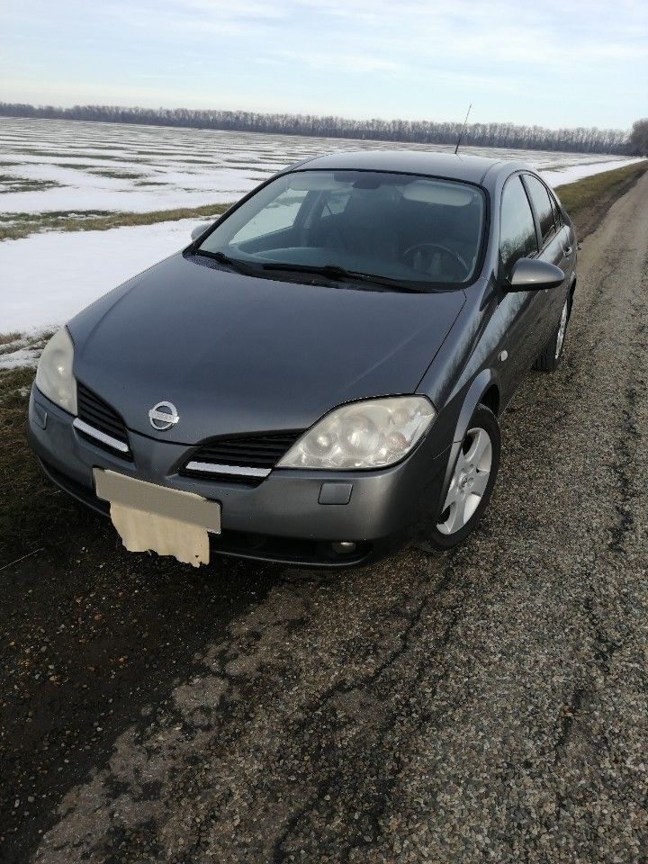 Nissan Primera: фото владельца