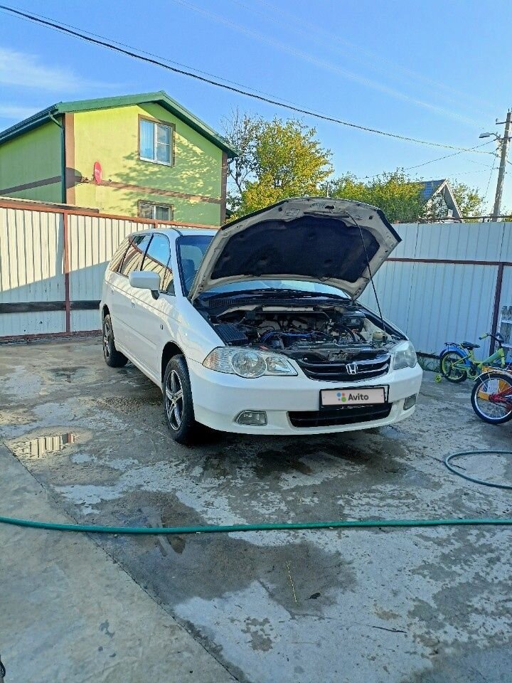 Honda Odyssey: фото владельца
