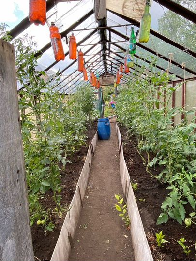 Дача 20 м² на участке 6 сот.