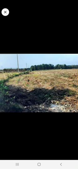 Участок 5,6 га (СНТ, ДНП)