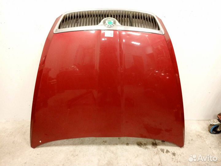 Ноускат Шкода Октавия А5 2004 - 2009 дорест