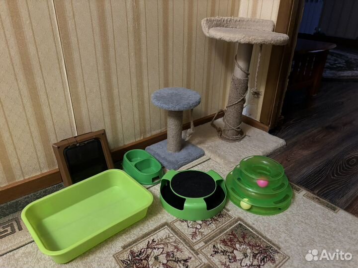 Когтеточка,игрушки,лоток,миска для кошек