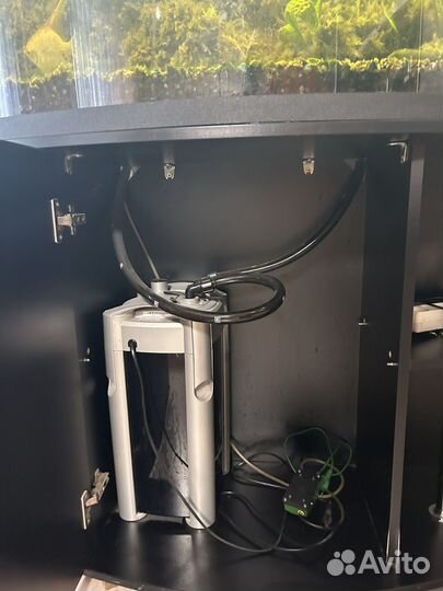 Аквариум с рыбками