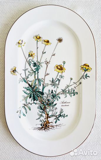 Villeroy Boch Botanica