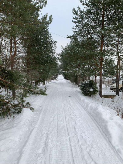 Участок 10 сот. (СНТ, ДНП)