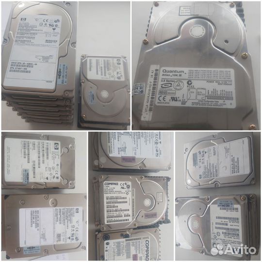 Жёсткие диски scsi Ultra320 146.8GB, 72.8GB, 36.4G