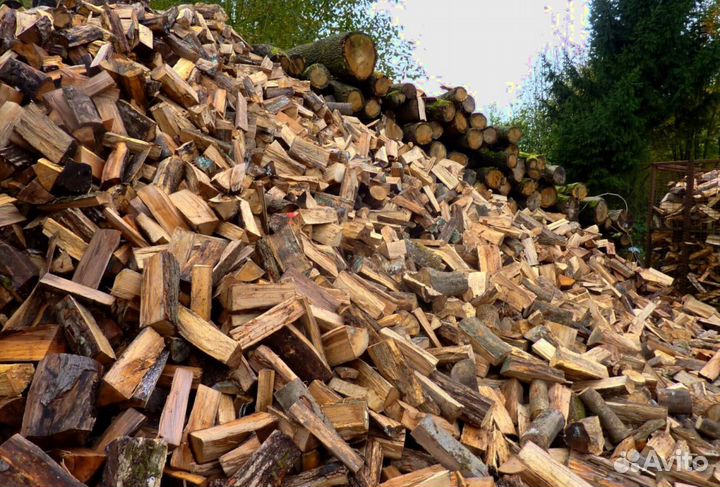 Дрова лиственные
