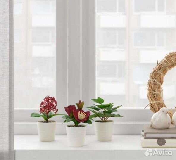 Интерьерное растение в горшке, 3шт ikea. Новое