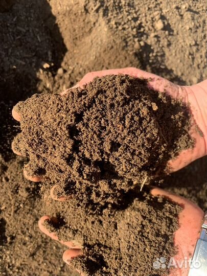 Перегной коровьего навоза в мешках (25 литров)