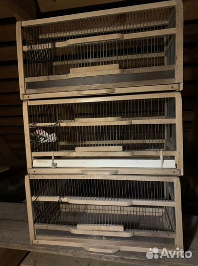 Клетки для птиц