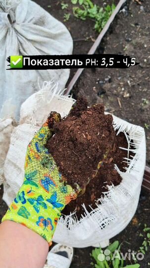 Торф для туй и гортензий г.Тамбов