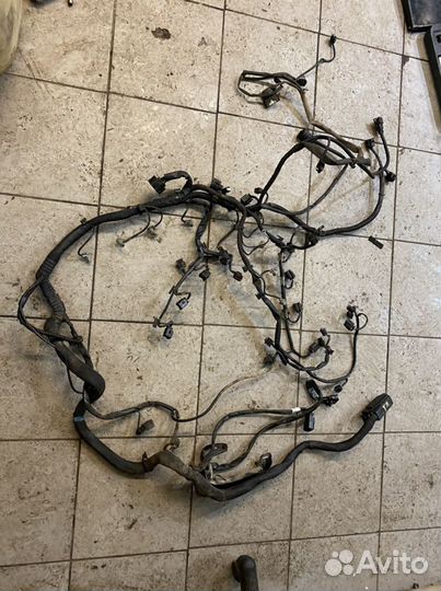 Проводка,коса двигателя A6291501933 Mercedes om629