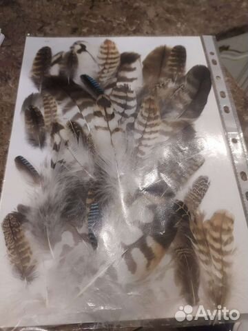 Перья птиц, наборы, творчество, ловцы снов