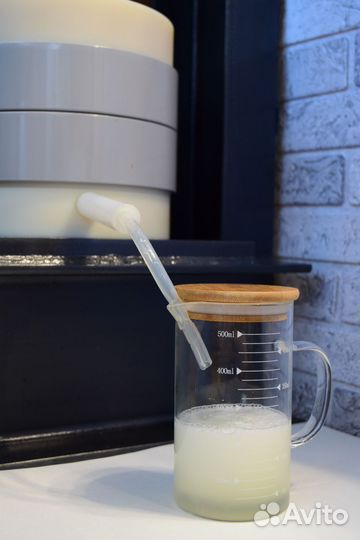 Масло кокосовое сыродавленное