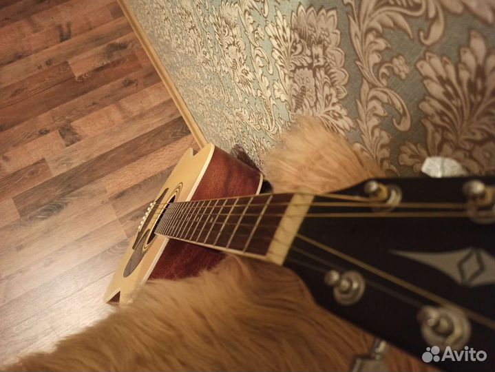 Акустическая гитара