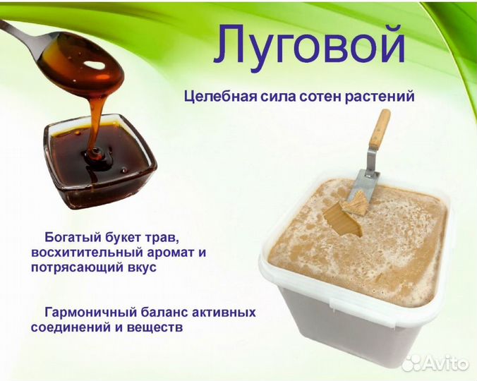 Алтайский мед (оптом)