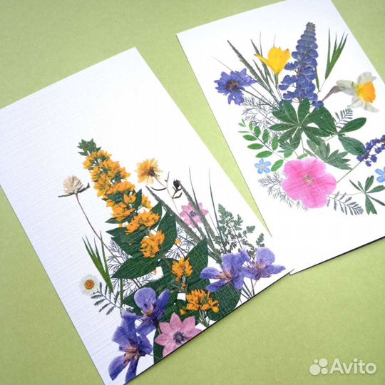 Фото открытки цветы отпечатки настоящих цветов