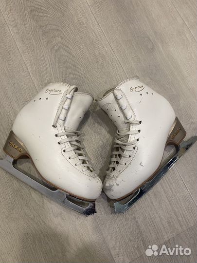 Коньки Edea 215