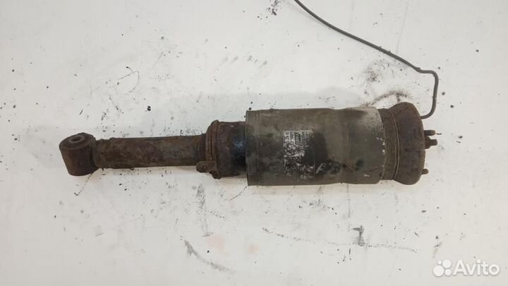 Амортизатор передний Land Rover Range Rover Sport